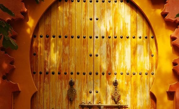 A wooden door with leaves around it